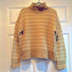 Everlane Cloud Checkered Turtleneck